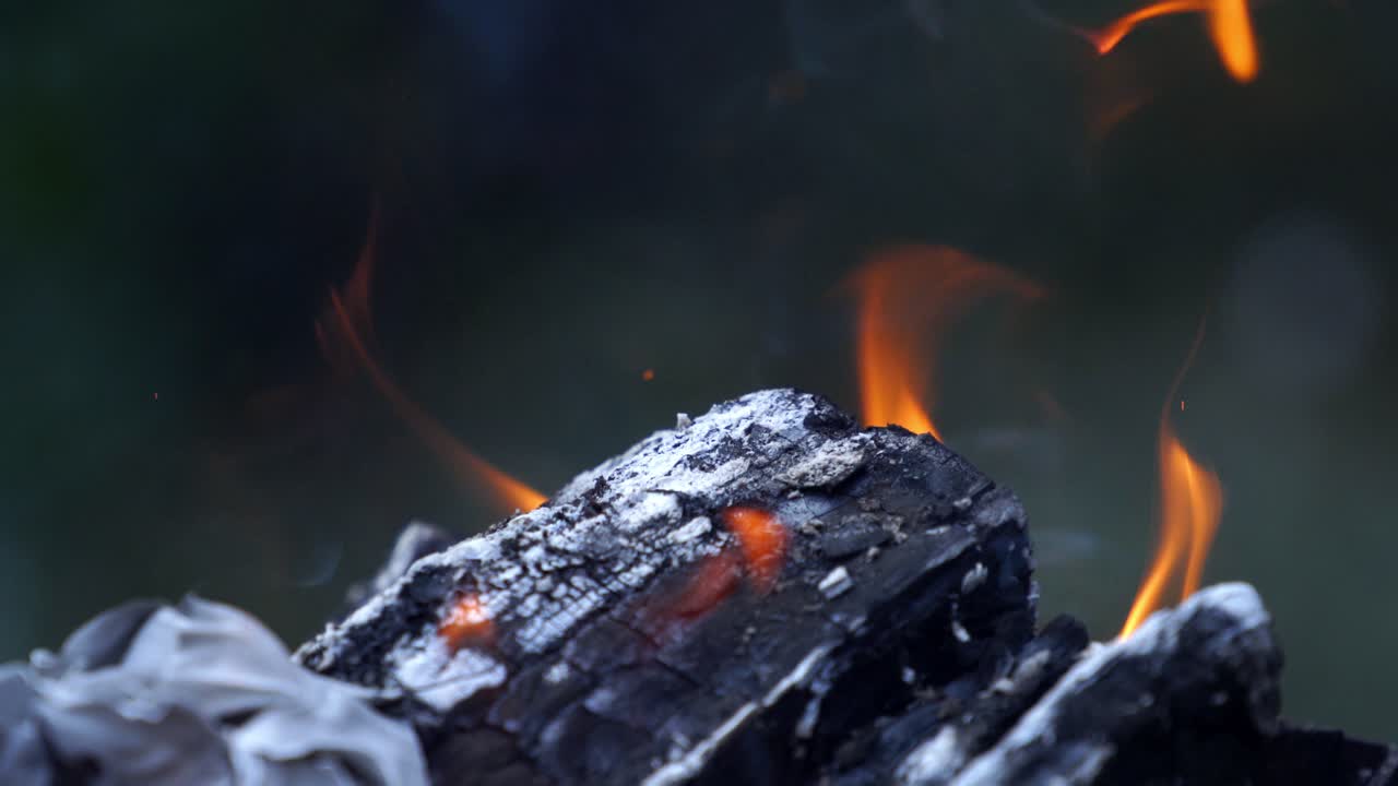 Tongues of flame fire close up. Warm fireplace with lots of trees ready for barbecue
