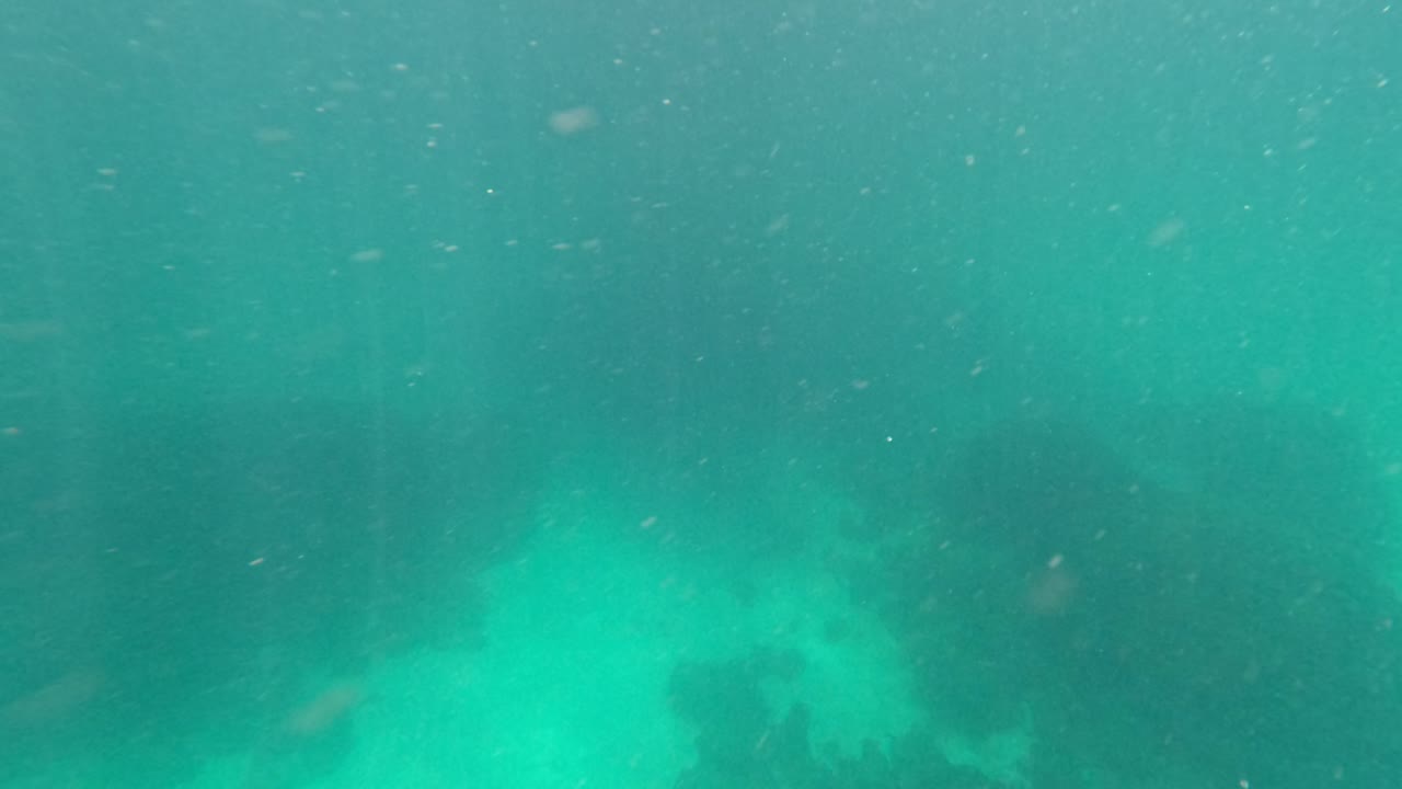Action camera drops from boat into clear water, capturing boats, underwater view, and bubbles