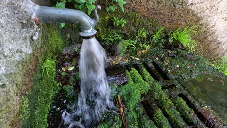 water flows from a pipe into a mossy area