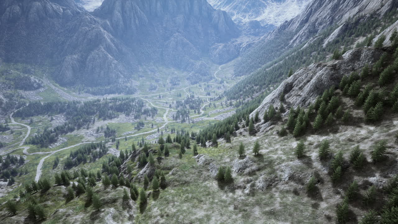 vista aérea de un valle de montaña con pinos