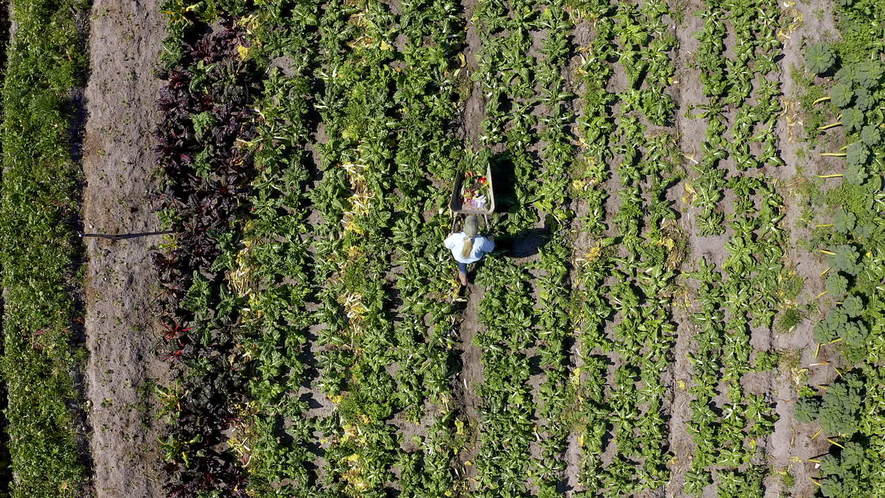 productos en movimiento