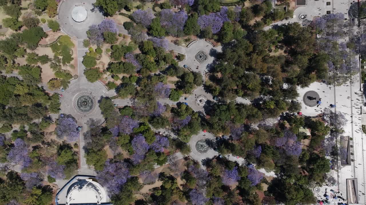 Alameda Park, Mexico City, Morning, aerial shot, nature, Mexico, trees, Big City
