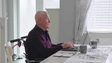 elderly man using laptop at home