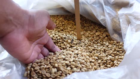 handful of green coffee beans