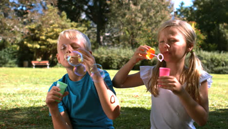 cheerful siblings having fun with bubbles