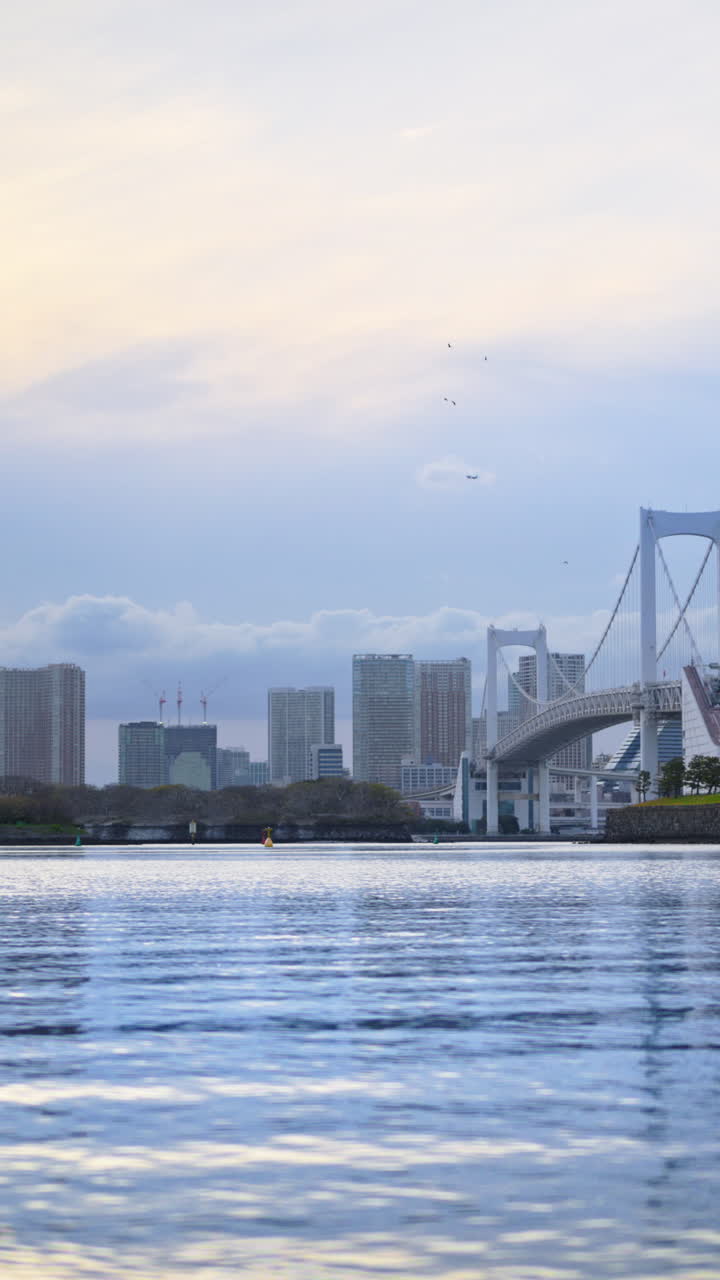 Distant view of the Rainbow Bridge and the skyline of Tokyo, Japan on a cloudy day. Vertical
