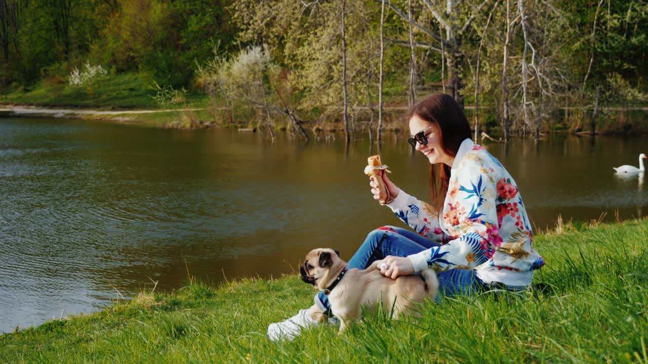 Hvile i parken med en hund og en hotdog som en hurtig snack. En ung kvinde sidder ved søen i en park og leger med sin mops.