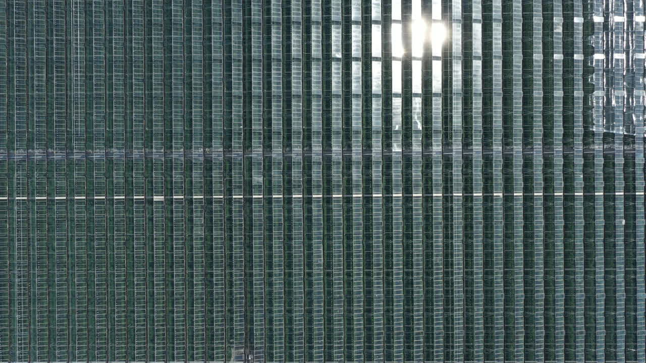 High aerial birds eye view over large commercial greenhouse