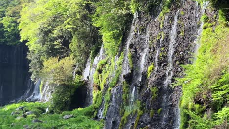 shiraito falls located at mount fuji is captured in this serene view of cascading water flowing down a rocky cliff covered in vibrant green moss