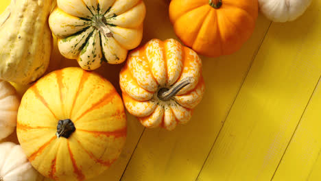 Pile-of-ripe-pumpkins