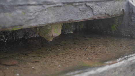 seawater flows round a small pool in a rusty metal structure