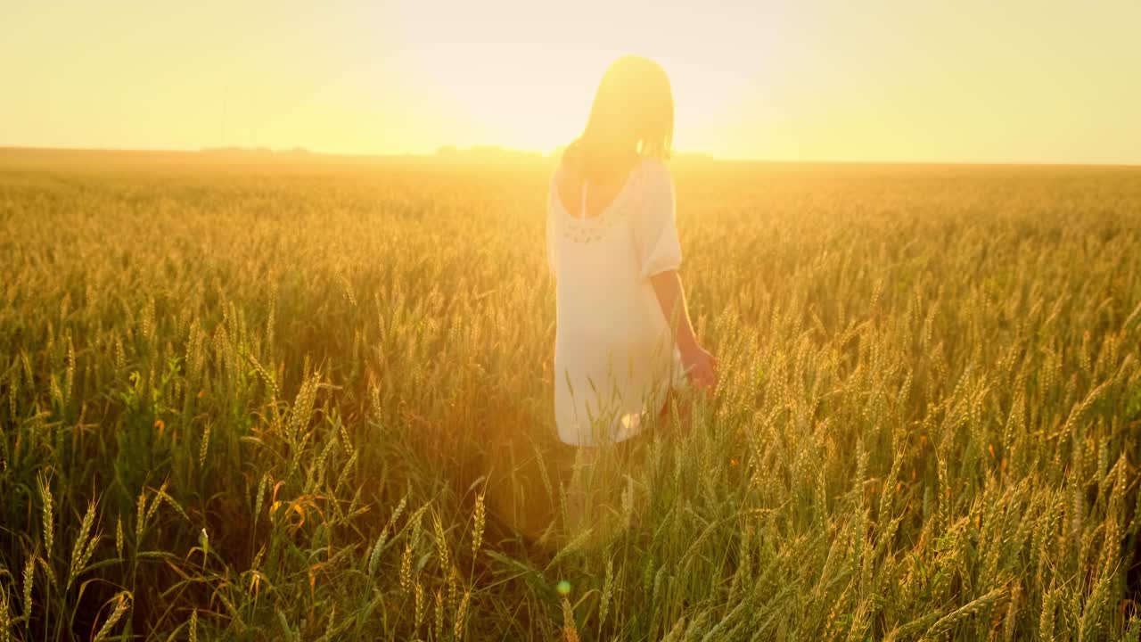 mujer caminando por un campo de trigo al atardecer