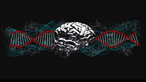 animation of dna strand spinning over network of connections and brain