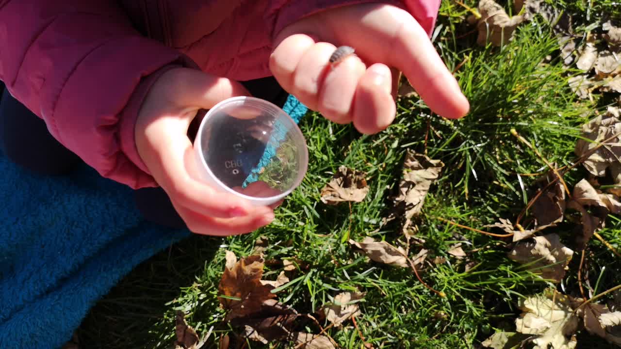 mi hija, jugando con bicho sin miedo
