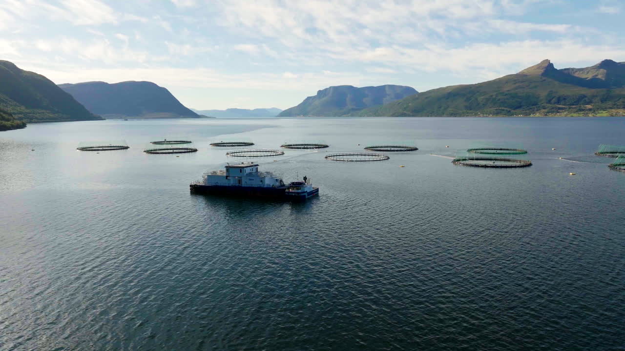시 트롤러 항해, 연어 해산물 농장, 노르웨이 산업, 항공