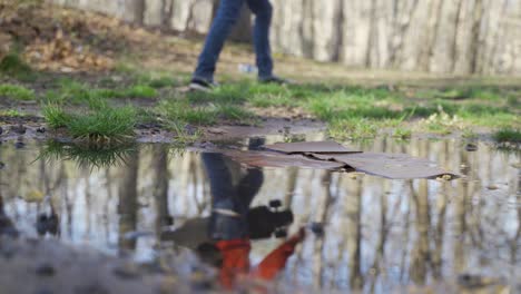 people walking past a puddle with cardboard reflection in a park