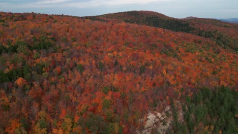 aerial view over canadian colorful forest during fall, autumn, mont sourire in laurentides, quebec region, canada