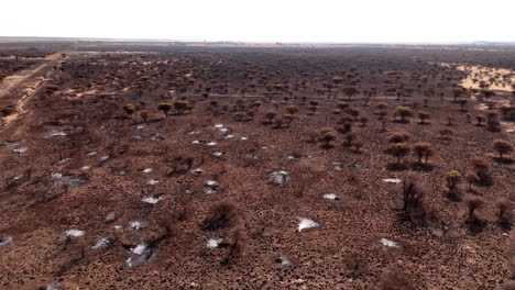 aerial view of a burnt african savanna landscape