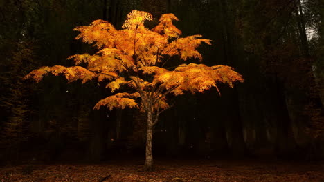 vibrant autumn tree in a dark forest