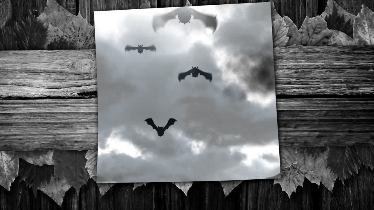 잎 을 가진 나무 바탕 에 구름 이 은 하늘