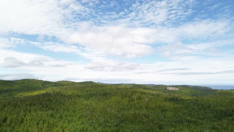 aerial tilt down shot over green lush woodland forest on moresby island in british columbia, canada