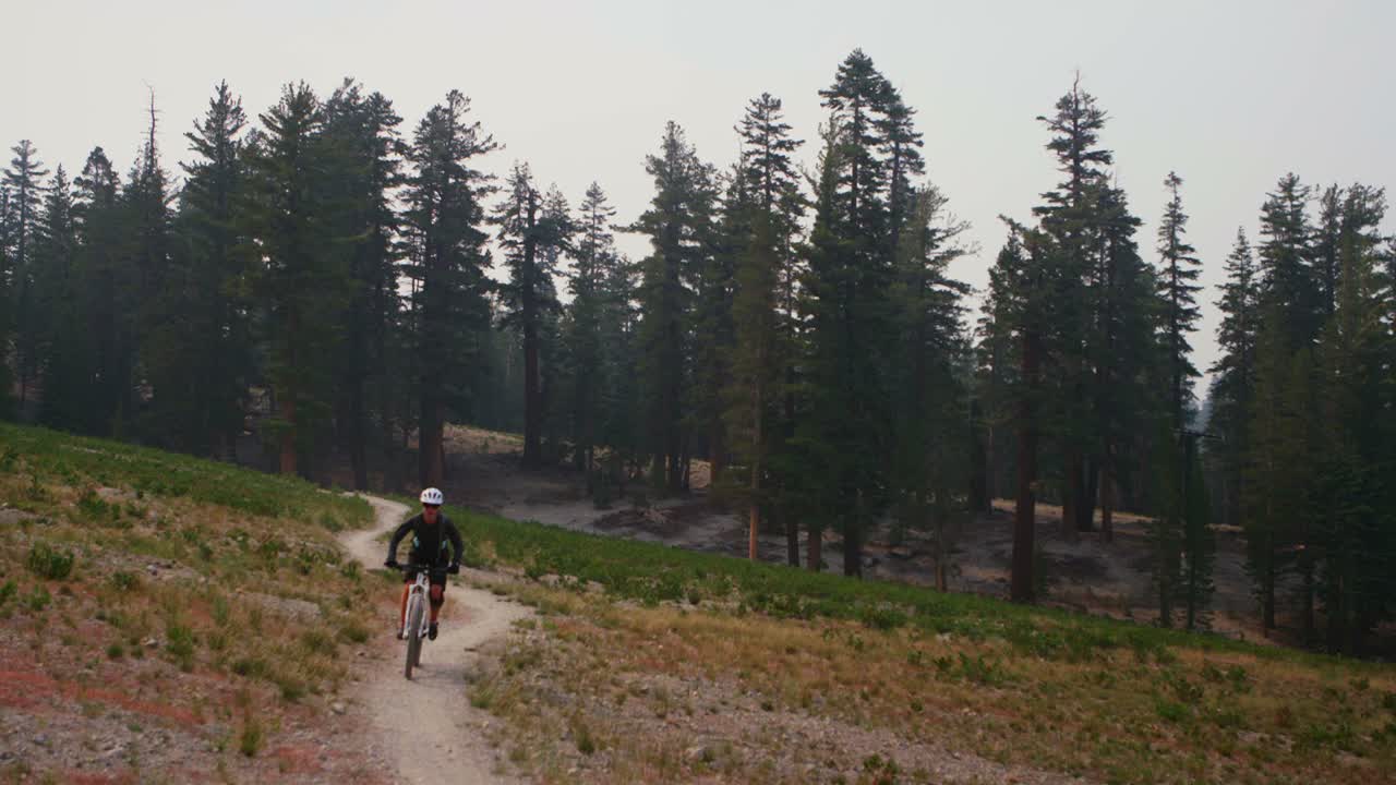 un ciclista de montaña recorre un camino de tierra lejos de un bosque