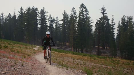 a mountain biker rides on a dirt path away from a forest