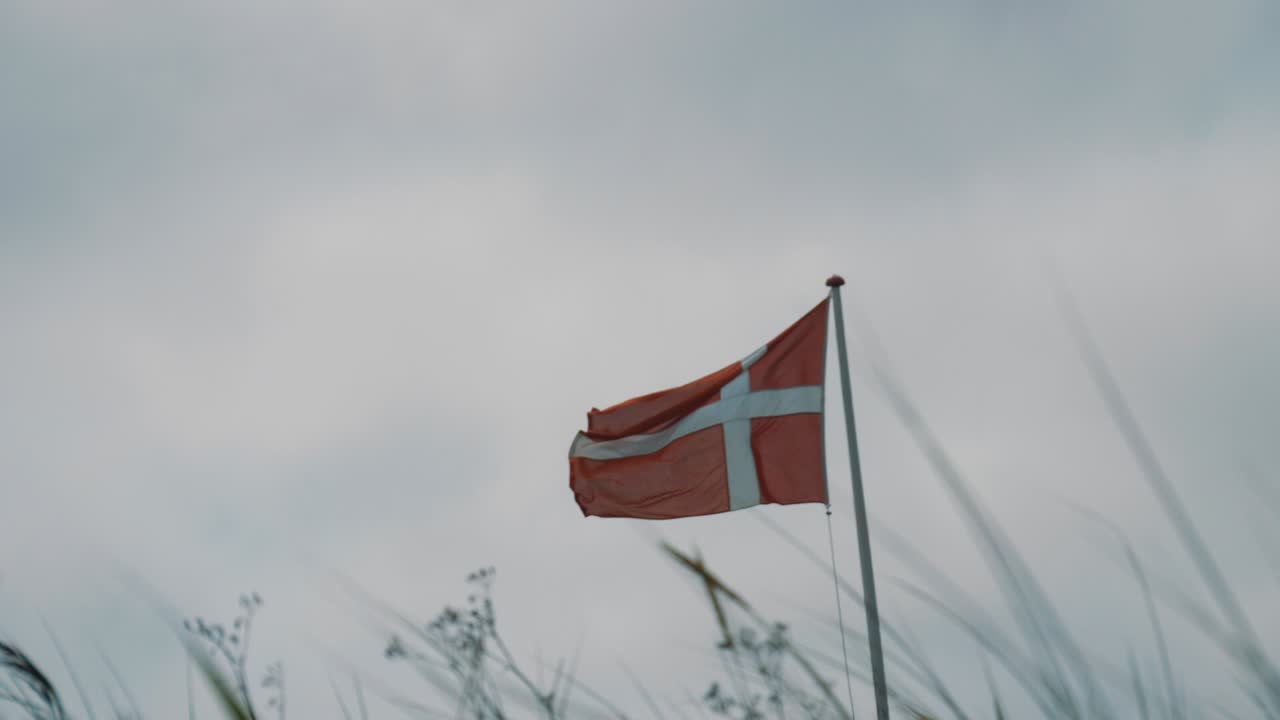 Danish flag flutters in the wind with gras as foreground in slight slow motion