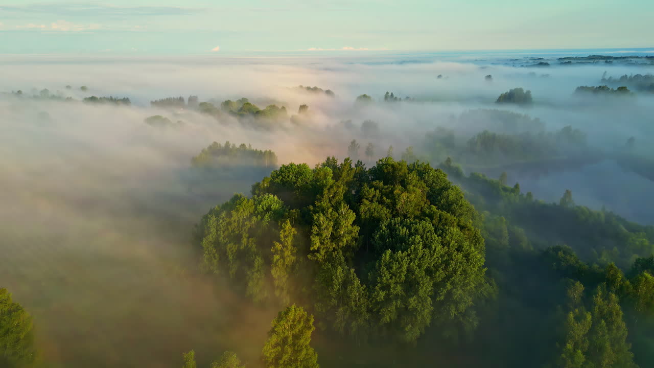 Aerial Drone Long Fly above misty clouds and sun-lighted tree tops sun reflection background, rainbow through hopeful establishing shot