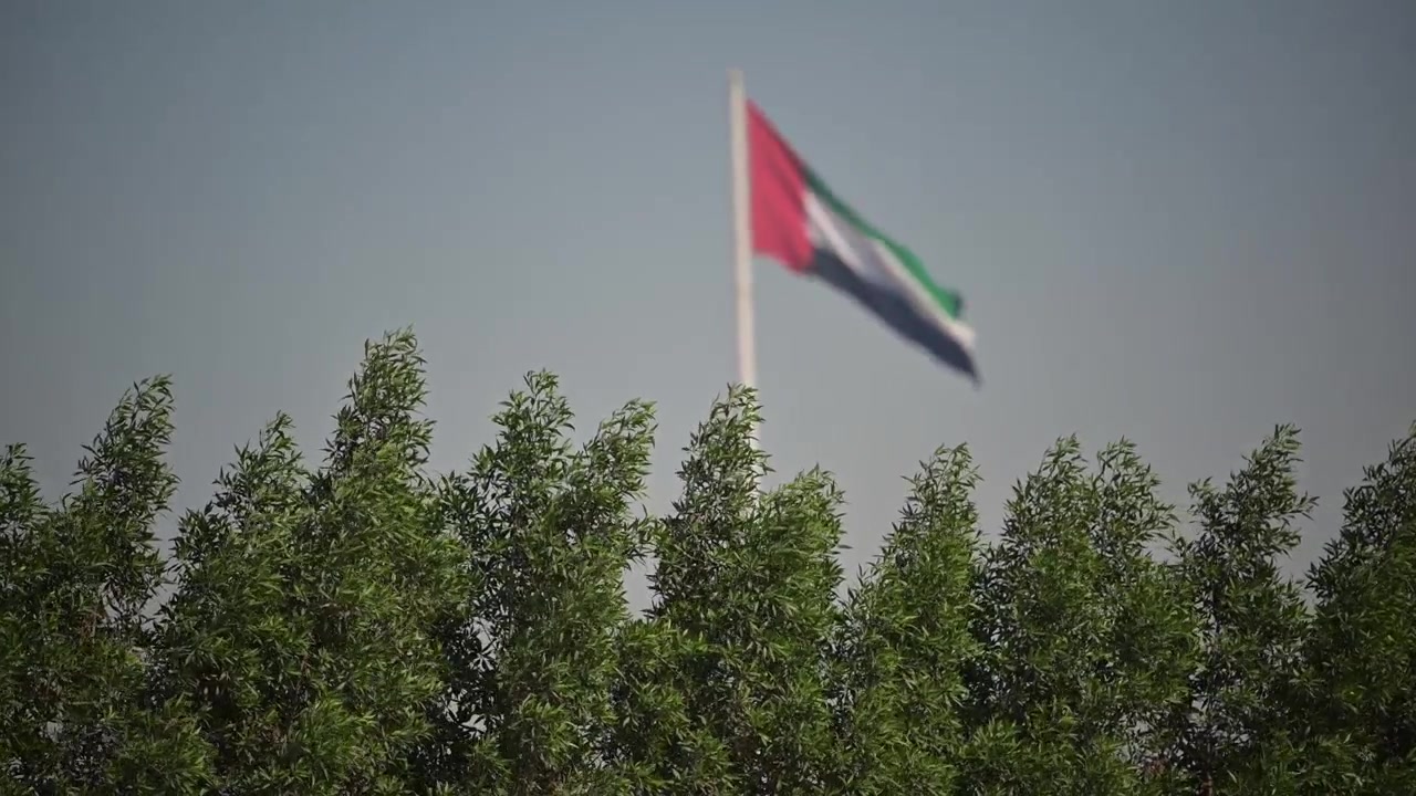 Emirati national flag soaring above green trees in the UAE