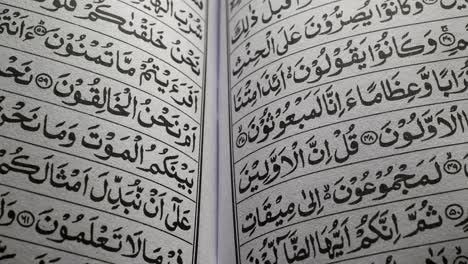 holy quran