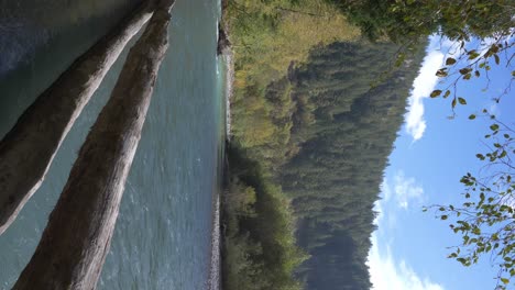 Vertical-Shot-Of-River-Flowing-Through-The-Forest-Under-Blue-Sky-With-Clouds-On-A-Sunny-Day