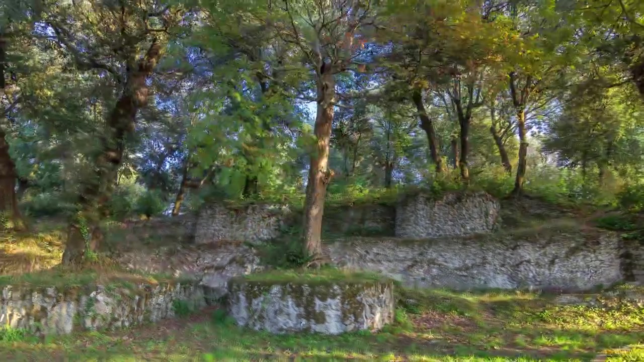 Timelapse Hyperlapse del Parco di Villa Doria Pamphili ad Albano Laziale, Italia. Immerso nella luce calda tra alberi verdi e lussureggianti, un'oasi tranquilla catturata in movimento