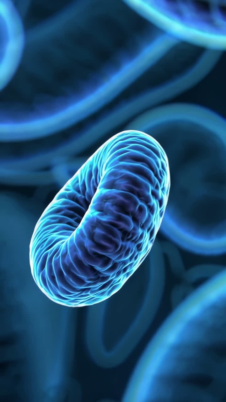 Illustrazione 3D di batteri e microrganismi
