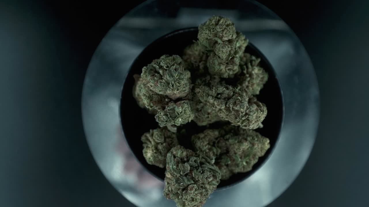 Grayish Green Dried Marijuana Buds view from above, pile of dried marijuana plants in a shiny bowl, trichomes strains, on a reflecting rotating stand, studio lights, slow motion 120 fps zoom in