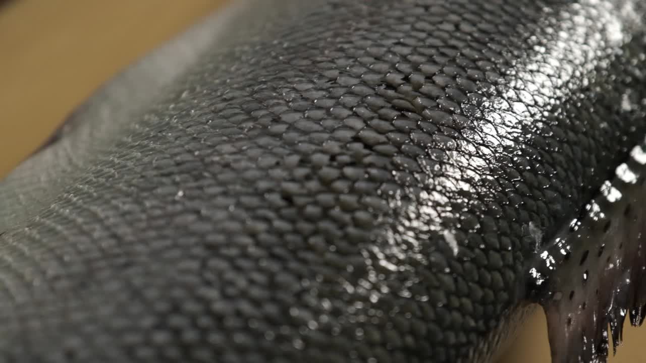 salmón en una mesa de la cocina