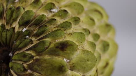 detailed view of custard apple texture