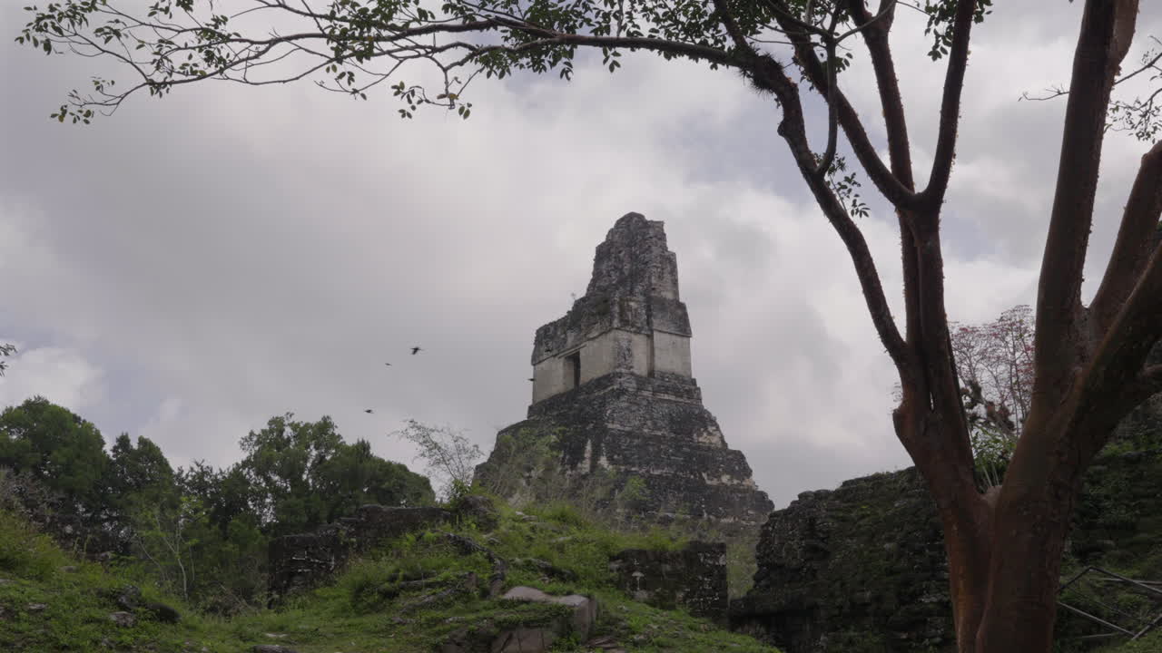 Mayan Tikal National Park. Temple 1 of the Great Jaguar with birds fly. Pyramid ruins Guatemala. Slow motion