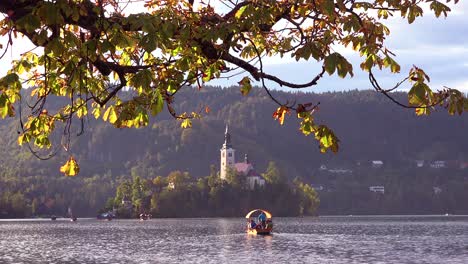 rowboats head for the island on lake bled slovenia in sunset light