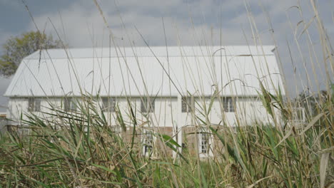 white farm barn in a tall grass field during the day