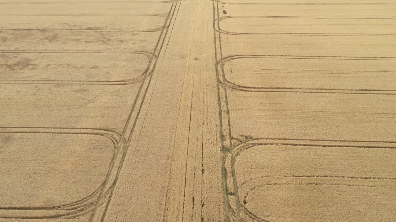 Drone footage of field with corn and tractor markings. Taken in summer months
