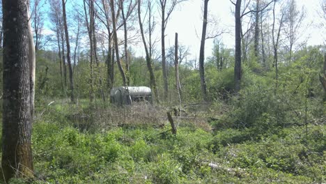 Abandoned caravan entwined by nature&#039;s grasp in forest of France,POV