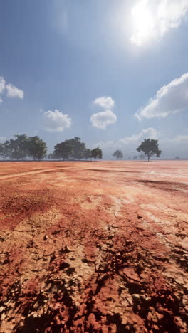 arid landscape: cracked earth and sparse trees under a bright sun