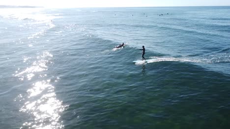 a surfer catches a wave in encinitas