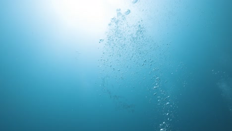 a mesmerizing underwater scene of bubbles rising towards the sunlit surface, creating a tranquil and ethereal effect