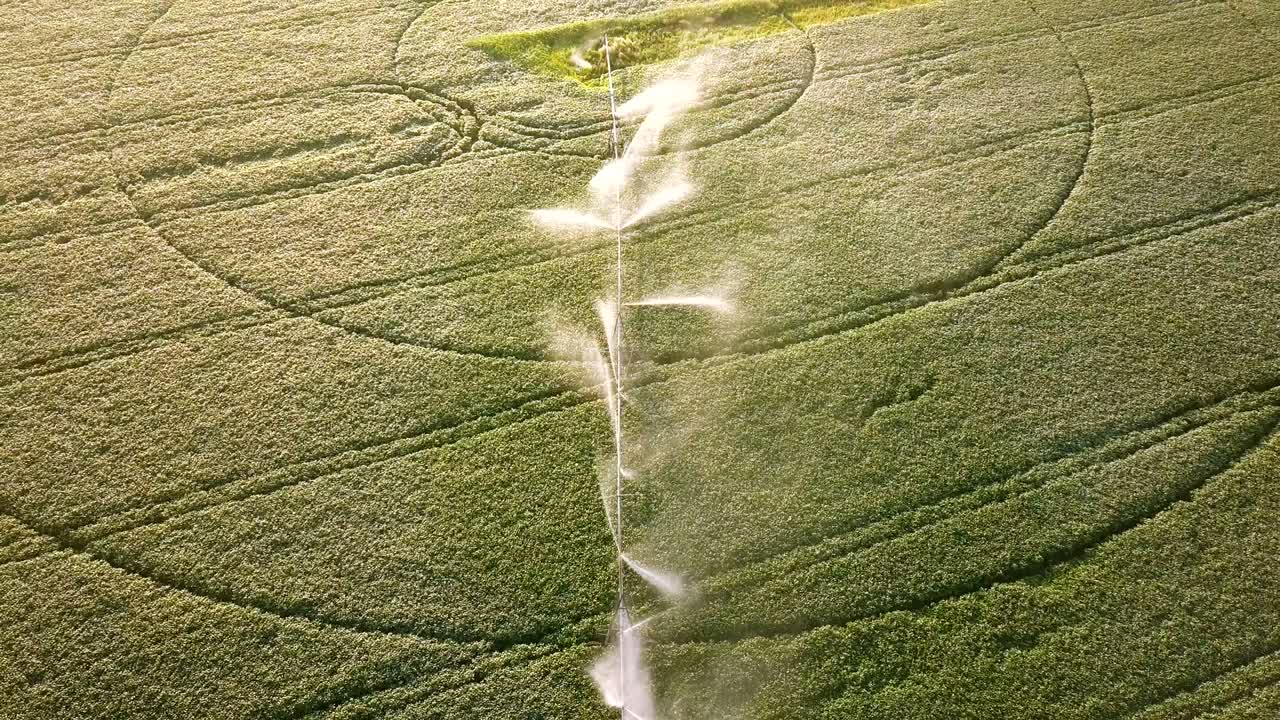 4k 항공기: 태양 반사와 함께 바다, 바다를 날아.