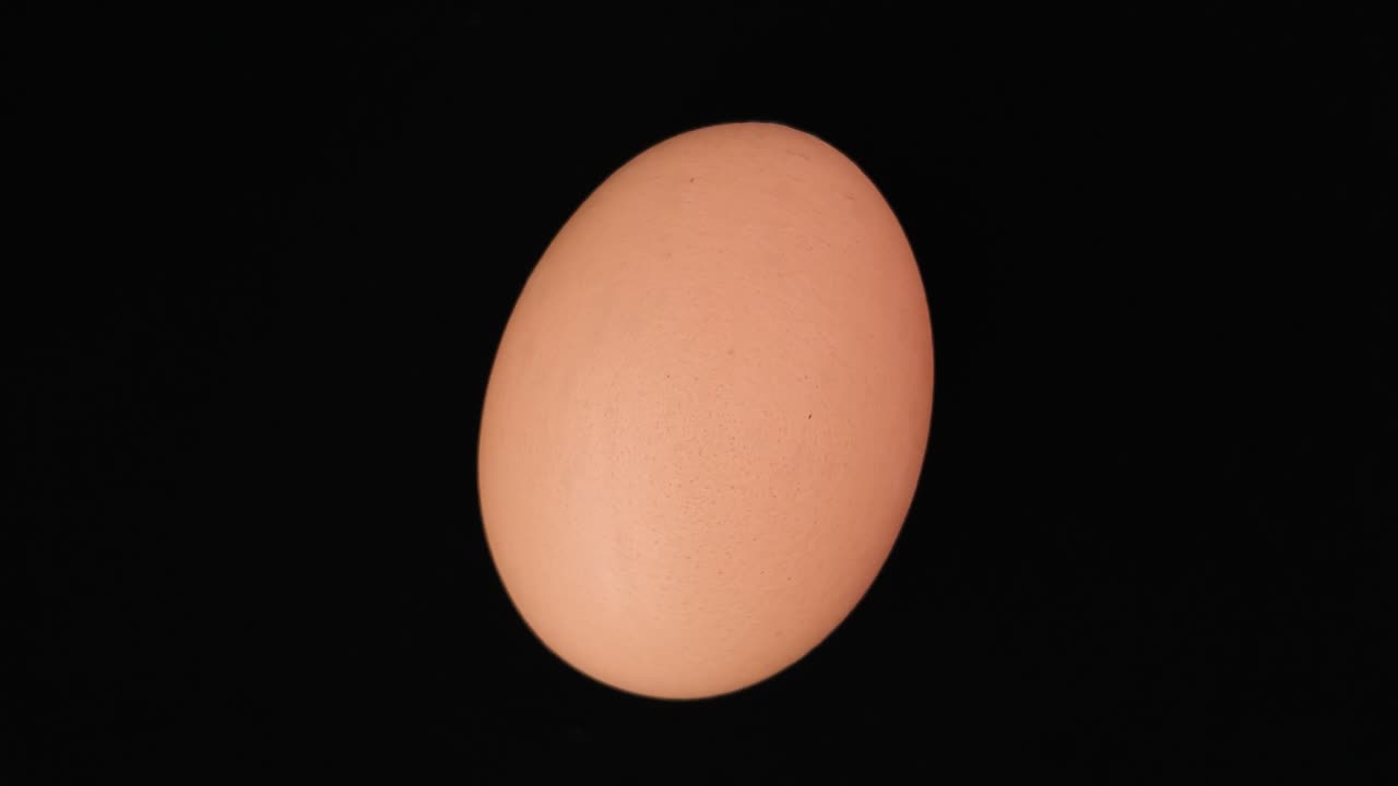 Rotating egg isolated on a black background with smooth lighting and soft shadows