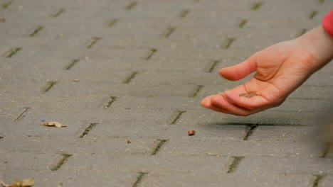 woman feeds squirrel in the park.