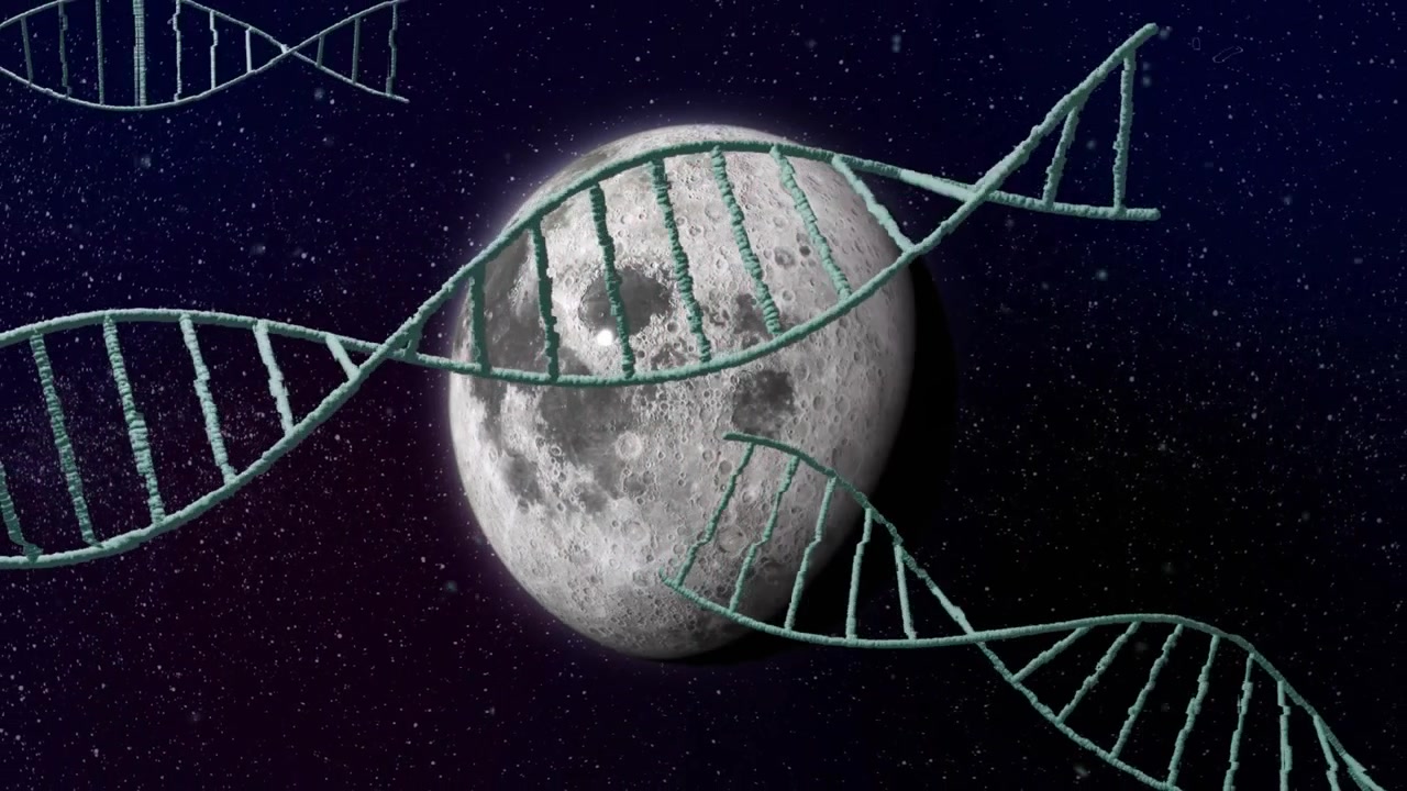 Börjar på ett stjärnfält där DNA-strängar framträder, böljar runt månen och avslöjar kraterdetaljer i en loop.
