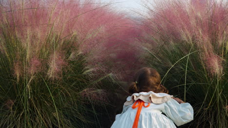 child girl in retro dress explore hiding in pink muhly grass at herb island in south korea